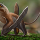 Una reconstrucción artística del Sinomacrops.
